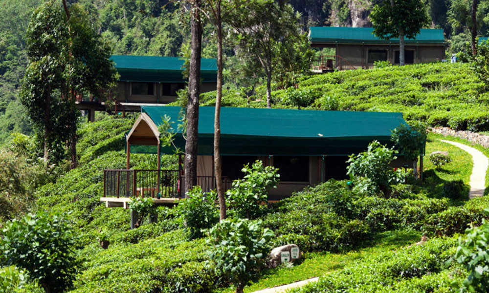 Eco Lodge