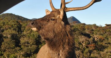 Horton Plains