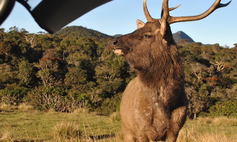 Horton Plains