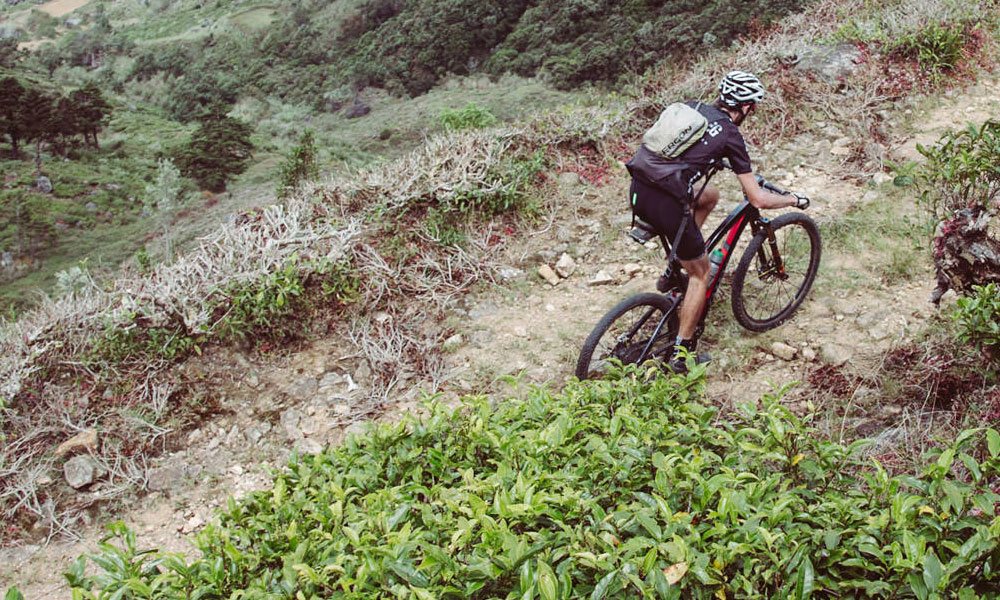 Mountain Biking & Cycling